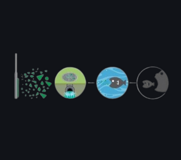 Imagen peces compromiso medioambiental brakco con las pastillas de freno de ebike